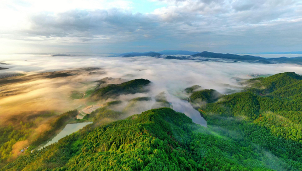 新春走基层丨吉安草林镇：“靠山吃山”有了新吃法