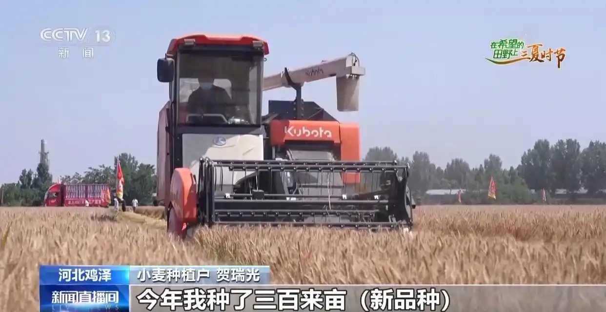 视频丨订单护航+科技助力 各地抢抓农时守好“粮袋子”
